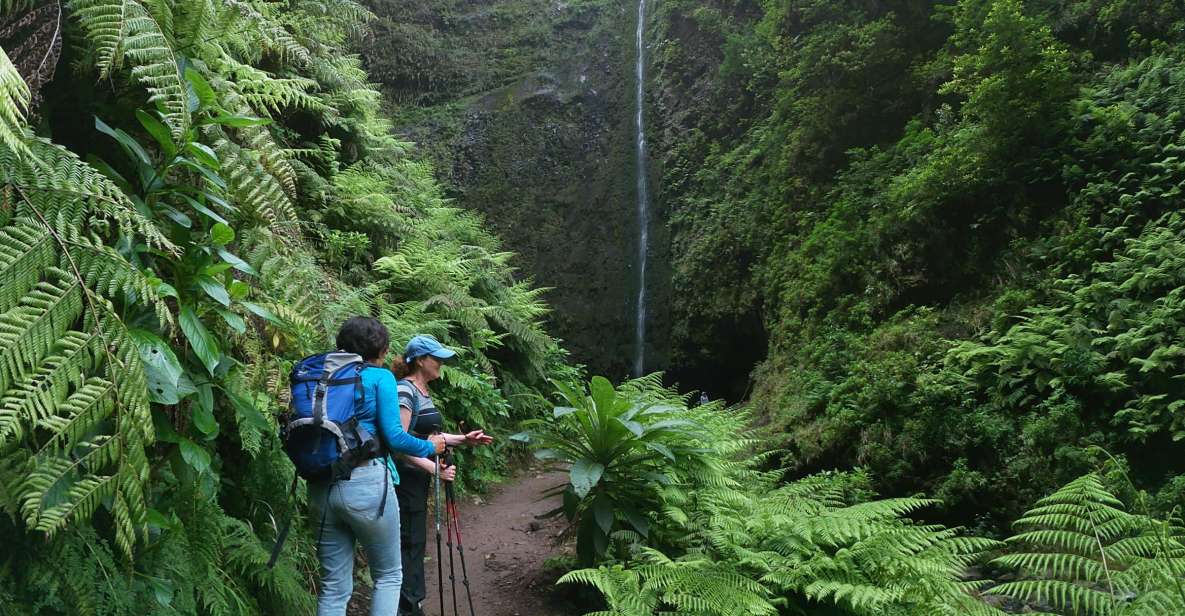 Madeira Island: Green Cauldron Levada Walk - Customer Ratings and Feedback