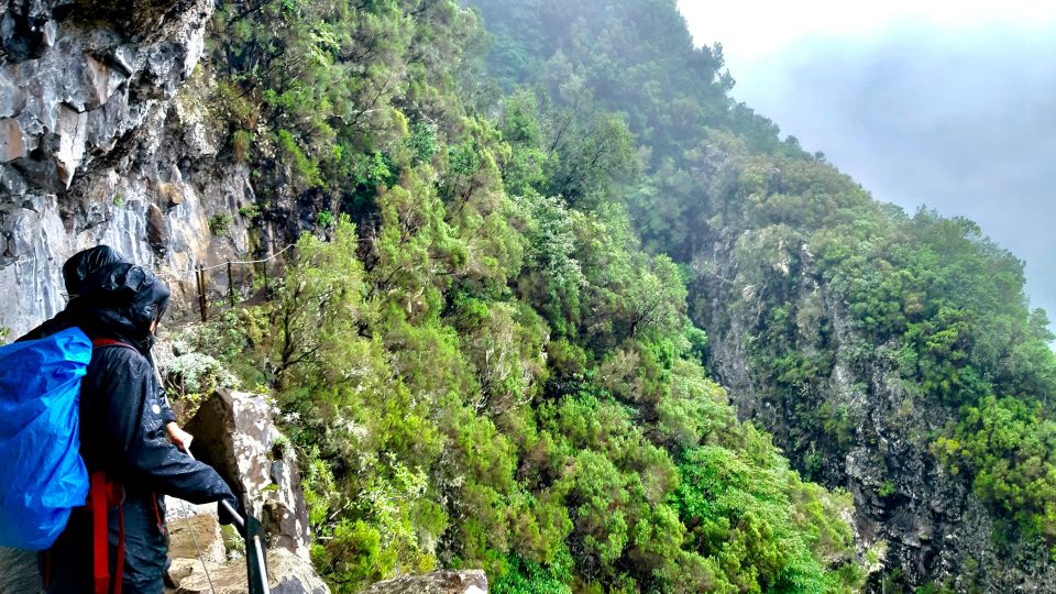 Madeira: Jungle Fever Levada Caldeirao Verde Hike Santana - Customer Reviews