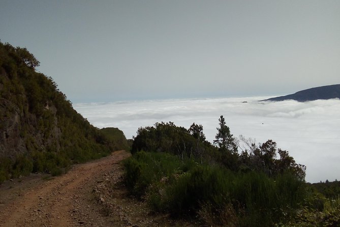 Madeira Off-Road Tours - Accessibility Considerations