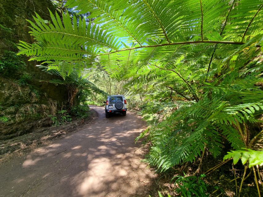 Madeira: Picturesque Peaks and Skywalk Private 4x4 Jeep Tour - Indulge in Local Delights