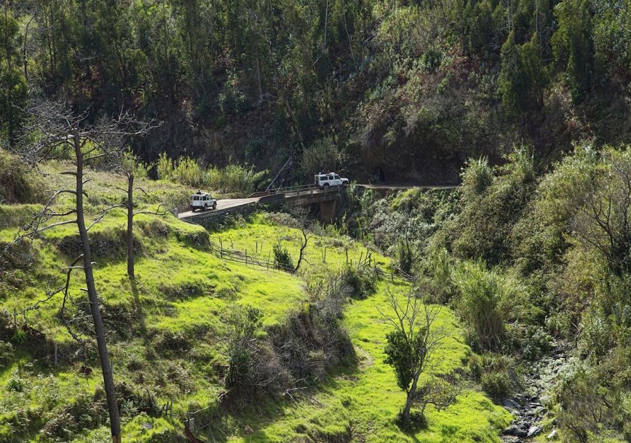 Madeira: The Best of South Jeep Tour - Lunch and Seaside Stroll