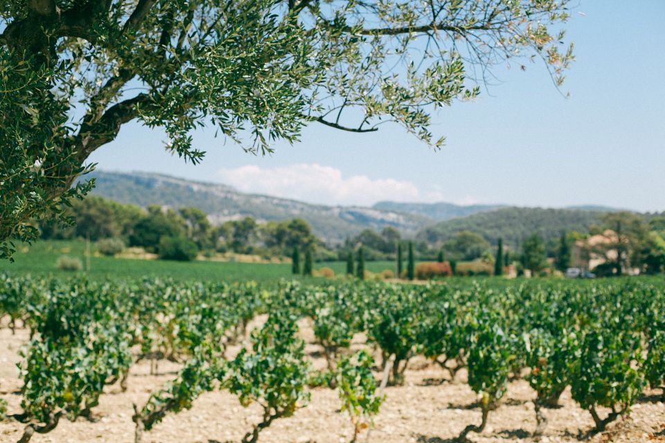 Madrid: Ribera and Rioja Wine Private Trip With Tastings - Visiting Bodegas Marqués De Cáceres