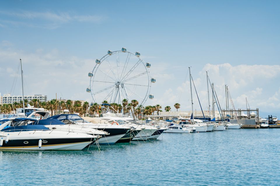 Malaga: Boat Rental Without a License for Dolphin Watching - Swimming and Snorkeling