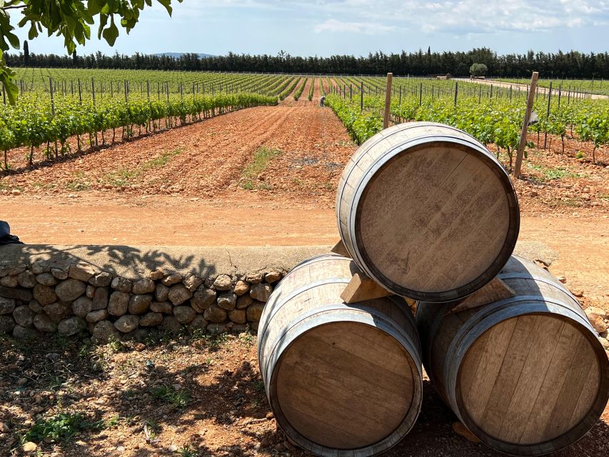 Mallorca: Discover the Secret Treasures of the Local Wine - Wine Tasting and Pairings