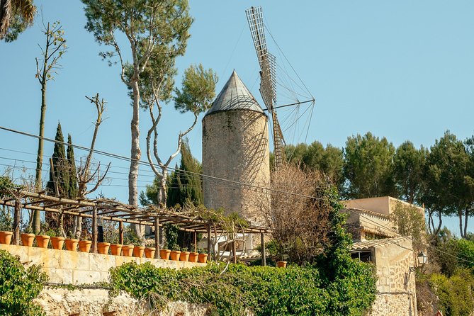 Mallorca Drach Caves Private Day Trip by Car With Hotel Pick-Up - Mallorcan Tapas Lunch at Local Market