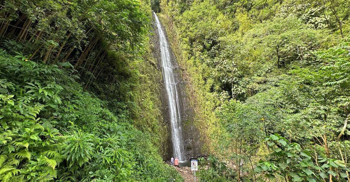 Manoa Falls Ebike to Hike - Electric Bike Tour