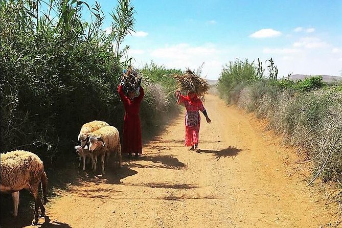 Marrakech Desert Buggy Tour Including Berber Tea Break and Transfer - Additional Information