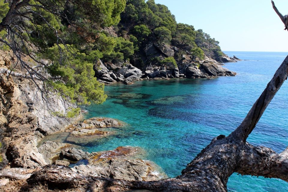 Marseille: Day Boat Ride in the Calanques With Wine Tasting - Indulge in Tapas