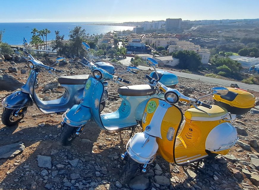 Maspalomas/ Las Palmas G.C Electric Vintage Scooter for Rent - Customer Reviews