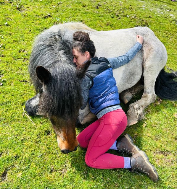 Meditate With Horses - Nature and Tranquility