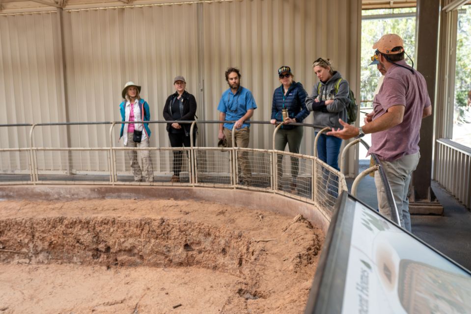 Mesa Verde National Park Tour With Archaeology Guide - Panoramic Natural Scenery