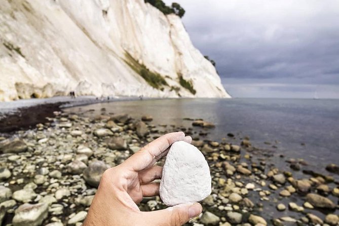 Møns Klint and the Forest Tower - a Day Tour From Copenhagen - Cancellation Policy