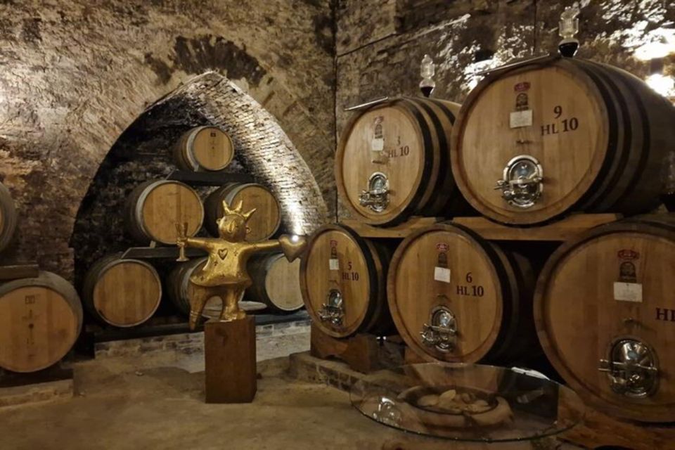 Montepulciano Wine Tasting and Orvieto Private Day Tour - Private Wine Tasting in Montepulciano