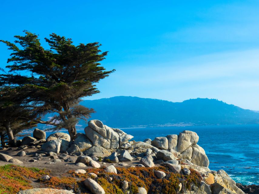 Monterey Peninsula Sightseeing Tour Including 17 Mile Drive - Customer Reviews and Feedback