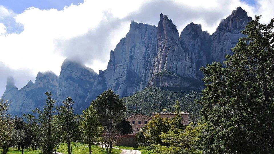 Montserrat & Cava Wineries Day Trip From Barcelona W/ Pickup - Premium Cava Winery Visit