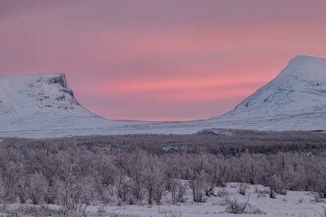 Morning Hike in Abisko National Park - Cancellation Policy