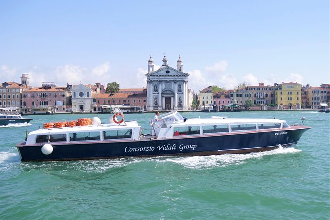 Morning Venice Lagoon Cruise: Murano Island and Burano Island - Tour Inclusions