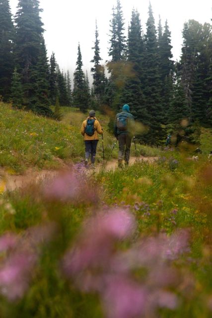 Mount Rainier Np: Full Day Private Tour & Hike From Seattle - Frequently Asked Questions