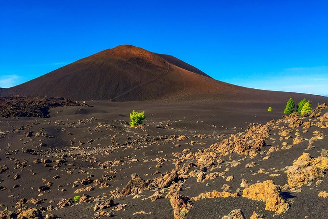 Mount Teide and Teno Country Park Private Tour - Bottled Water Included