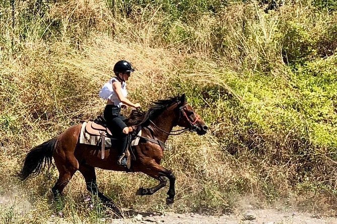 Mount Vesuvius Guided Horse Riding Tour With Sample Wine - Recommendations and Restrictions for Participants