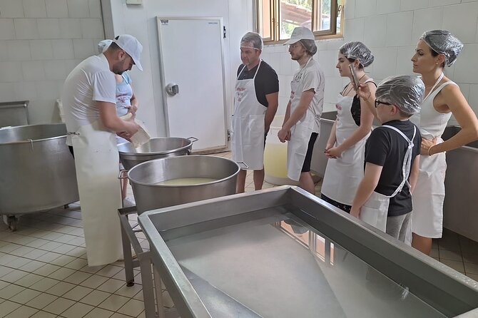 Mozzarella Experience With Tasting in Vico Equense - Meeting Point and Location Details