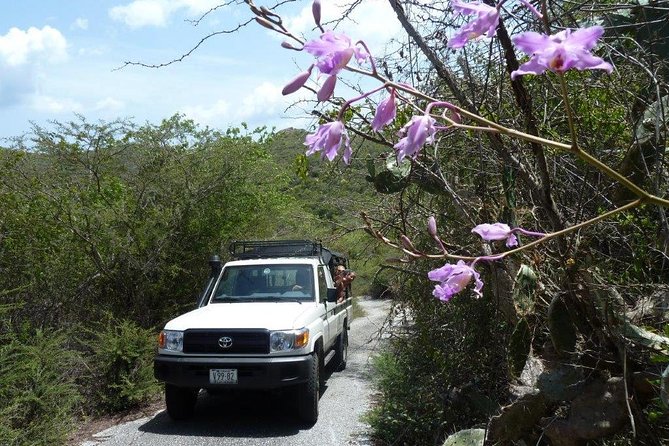 National Park Jeep Safari - Wildlife and Vegetation