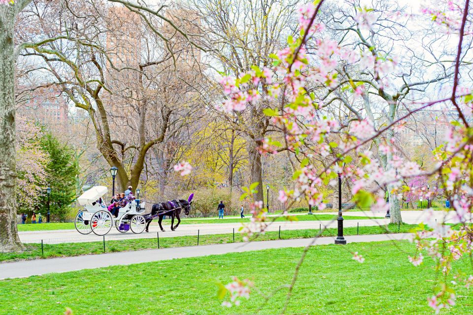 New York City: Horse and Carriage Rides in Central Park - Duration and Itinerary Details