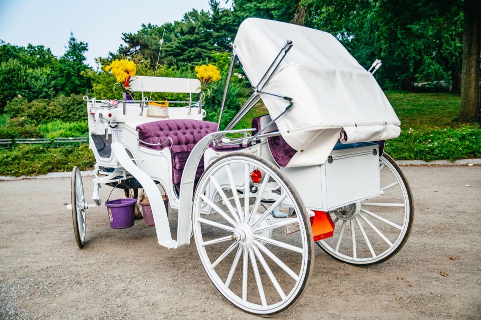 NYC: Guided Central Park Horse Carriage Ride - Park History