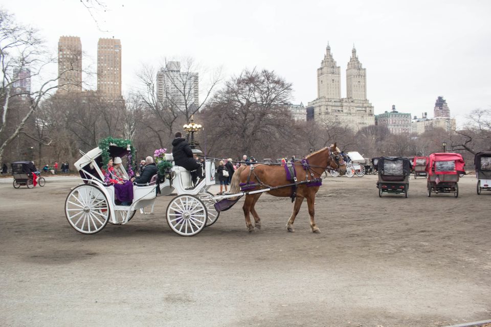 NYC Horse Carriage Ride in Central Park (65 Min) - Duration and Pricing