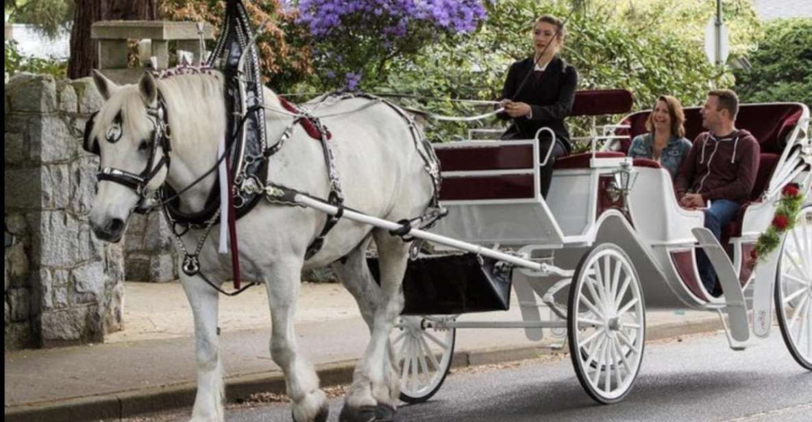 Nyc: Private Central Park Horse Carriage Ride With Guide - Frequently Asked Questions