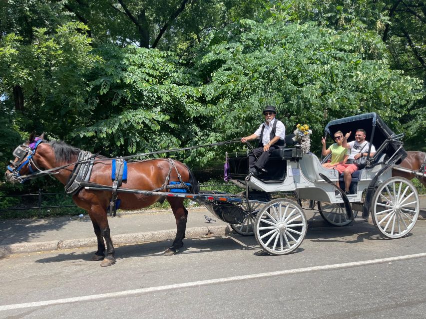 NYC:Guided Central Park Horse Carriage Ride - Carriage Ride Experience