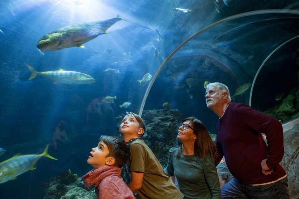 Oberhausen: SEA LIFE Ticket and Behind the Scenes Tour - Discovering the Aquarium at Your Own Pace