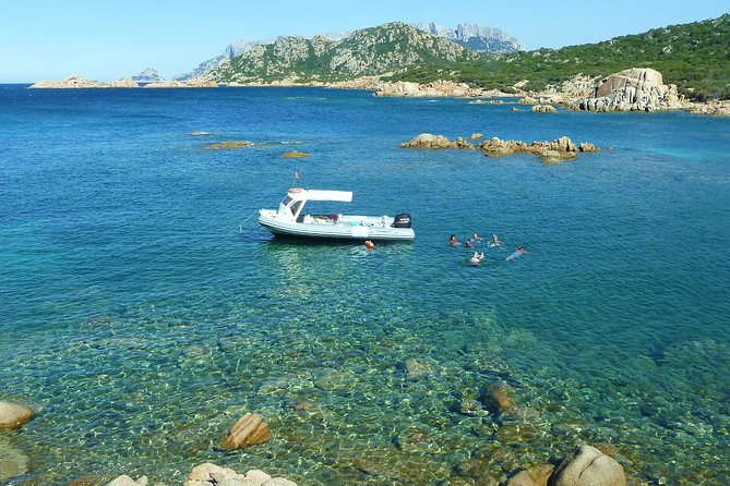 Observation of Dolphins and Snorkeling in a Rubber Boat in Olbia - Included Snorkeling Equipment