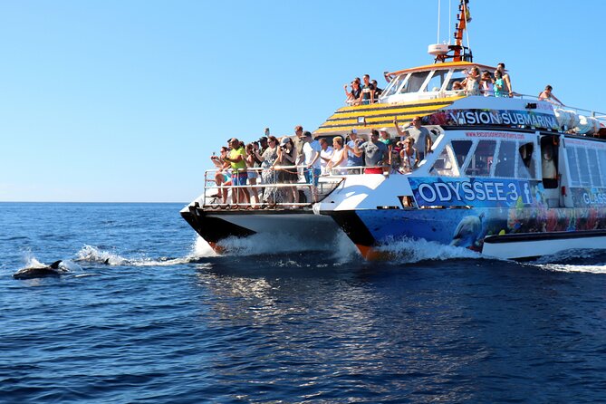 Odyssee 3: The Glass Bottom Boat Tour in Fuerteventura - Group Size and Accessibility