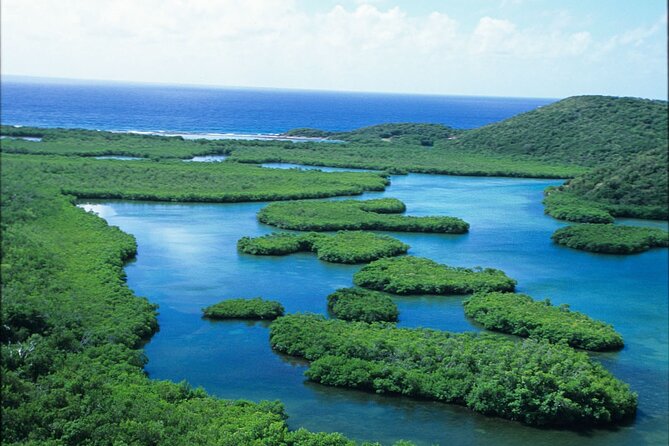 On Your Own: Kayak in the Mangrove Lagoon - Wildlife and Scenery