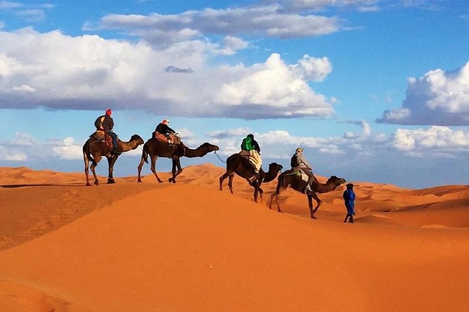 Overnight Camp Camel Trekking In Merzouga - Optional Activities