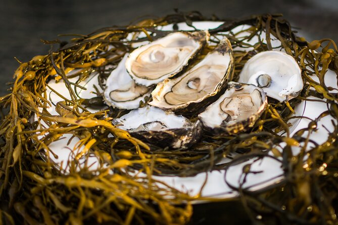 Oyster Farm and Tasting Experience - Confirmation and Cancellation