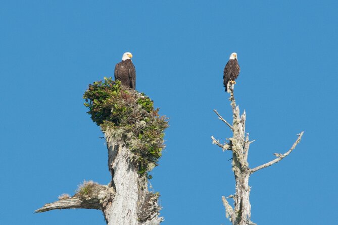 Pacific Rim Tour (Ucluelet & Tofino) - Confirmation and Accessibility