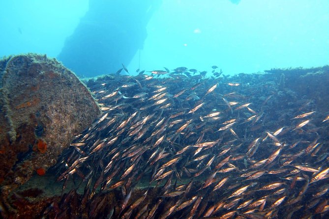 PADI Open Water Course in Gran Canaria - Age and Health Requirements