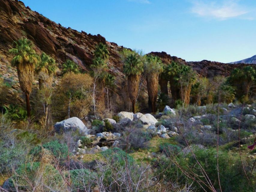 Palm Springs: Indian Canyons Hiking Tour by Jeep - Guided Canyon Hike