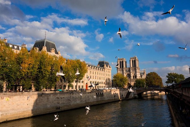 Paris Highlights Private Tour With Arc De Triomphe Skip the Line Ticket Access - Accessibility and Fitness