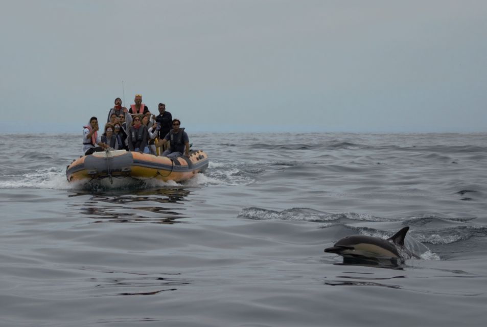 Peniche: Dolphin Route Boat Trip - Picturesque Peniche Coastline