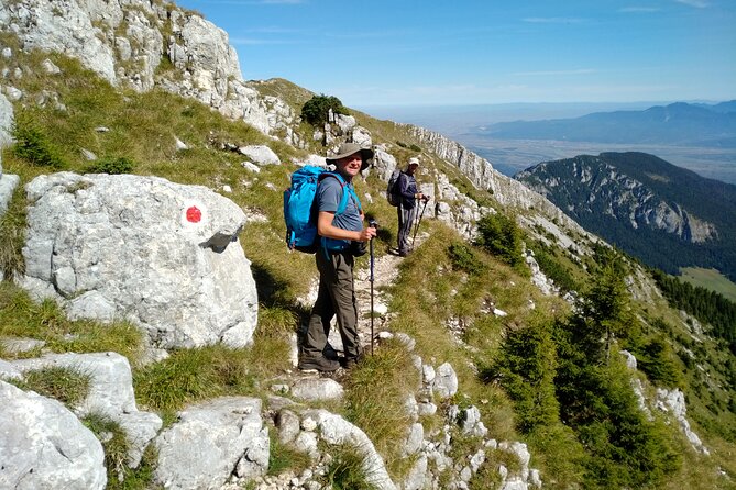 Piatra Craiului National Park Private Hiking Tour From Brasov - Hiking Itinerary