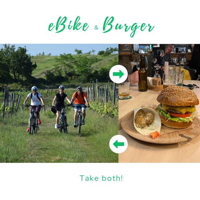 Piran: E-Bike&Burger in Istria - Important Considerations