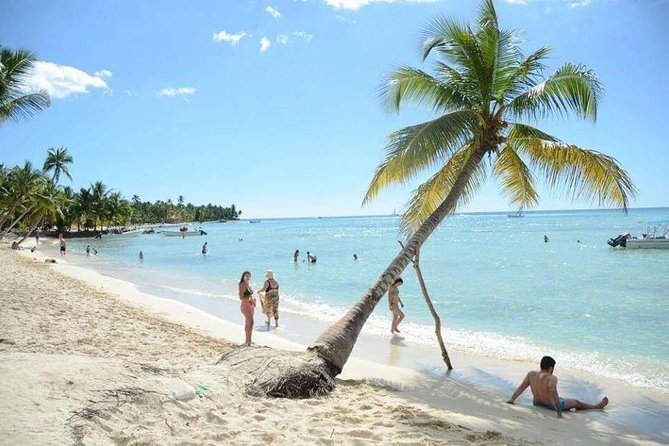 Platinum Private Saona Island Tour for Groups of 10+ People - Snorkeling and Natural Pool