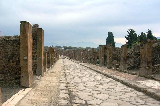 Pompei Archeological Site and Wine Tasting Experience - Exploring Ancient Pompei