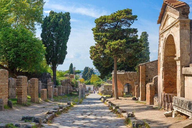 Pompeii and Naples Day Trip From Rome by High Speed Train - Neapolitan Pizzeria Lunch