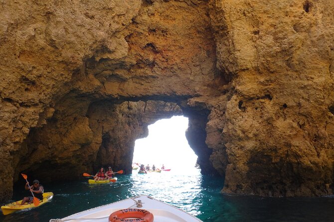 Ponta Da Piedade Costal Cruise and Caves-2h - Wildlife Spotting and Dolphin Watching