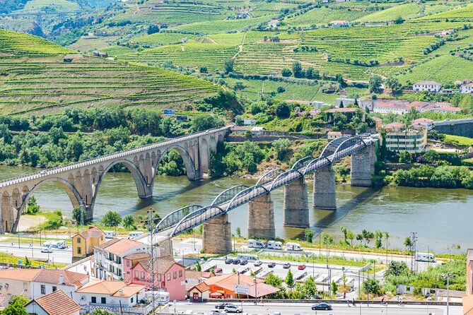 Porto Douro Valley Full-Day Wine Tasting, River Cruise and Lunch - Cancellation Policy