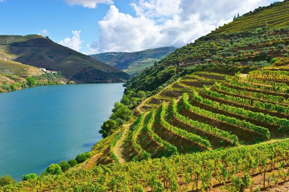 Porto: Douro Valley Private Full-Day Tour - Tour Inclusions